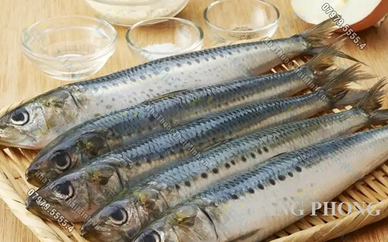 Bệnh gút có ăn được cá không? Người bệnh gút nên và không nên ăn cái gì?