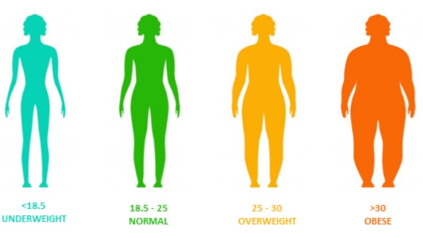 Chỉ số đánh giá suy dinh dưỡng BMI là gì?