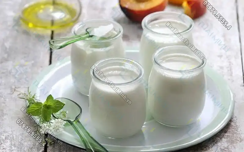 Cách làm sữa chua bằng sữa tươi vô cùng thơm ngon