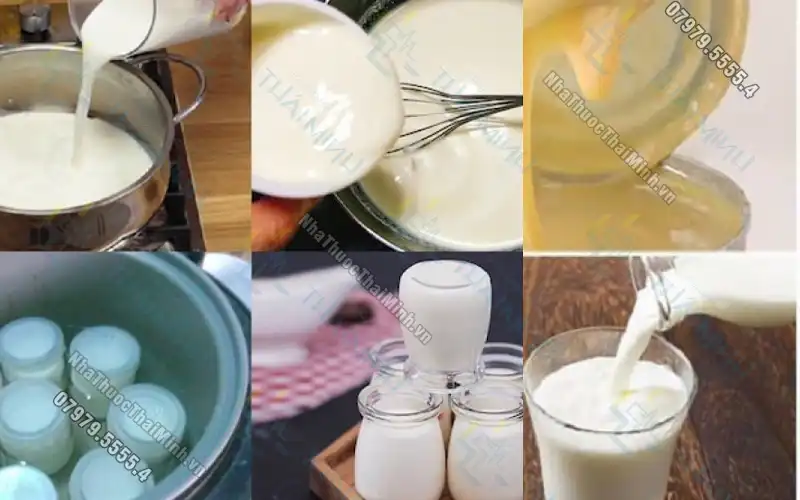 Cách làm sữa chua bằng sữa tươi vô cùng thơm ngon
