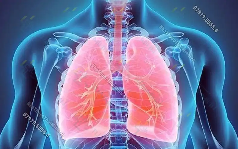 Bỏ thuốc lá bao lâu thì phổi sạch? Làm sạch phổi để bảo vệ sức khỏe