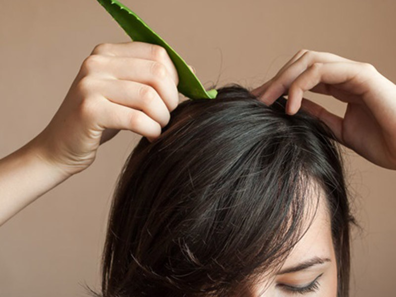 Gợi ý 5 cách ủ tóc bằng gel nha đam để cho mái bồng bềnh, mềm mượt
