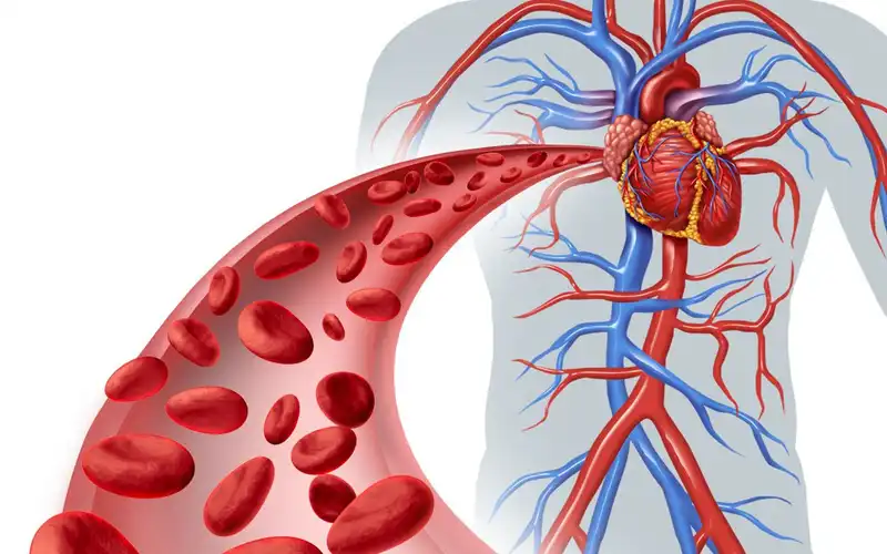 Những loại thuốc có tác dụng ức chế sự hình thành mạch máu, gọi là anti-angiogenesis, được sử dụng để ngăn cản quá trình tạo mạch máu mới, từ đó ngăn chặn việc cung cấp dinh dưỡng và oxy đến khối u. Chiến lược này được gọi là "chiến lược bỏ đói khối u".