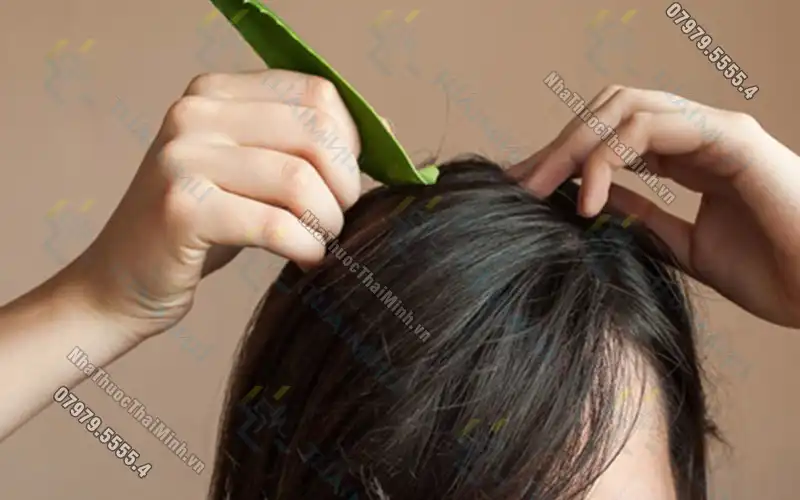 Gợi ý 5 cách ủ tóc bằng gel nha đam để cho mái bồng bềnh