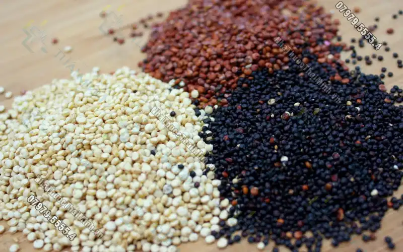 Mách nhỏ bạn cách ăn hạt quinoa giảm cân hiệu quả và khoa học