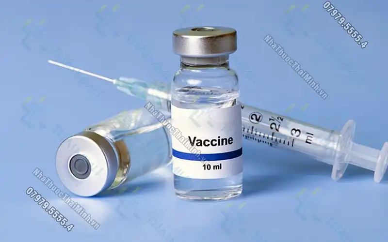 Những loại vaccine cho người cao tuổi - Vaccine là gì?