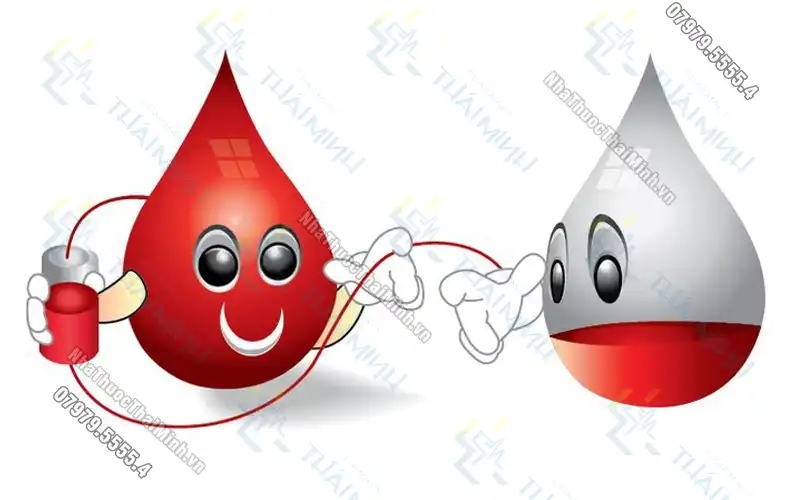 Thông tin từ A đến Z hữu ích về nhóm máu B+