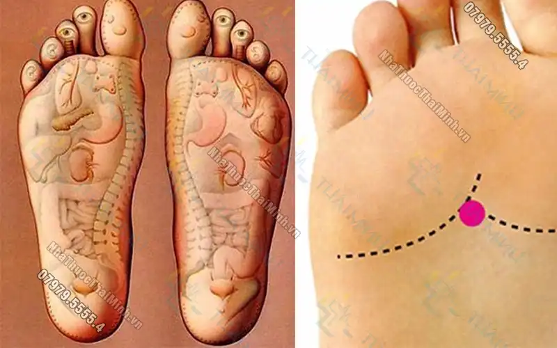 Tìm hiểu về các huyệt bàn chân cùng cách massage bấm huyệt bàn chân hiệu quả