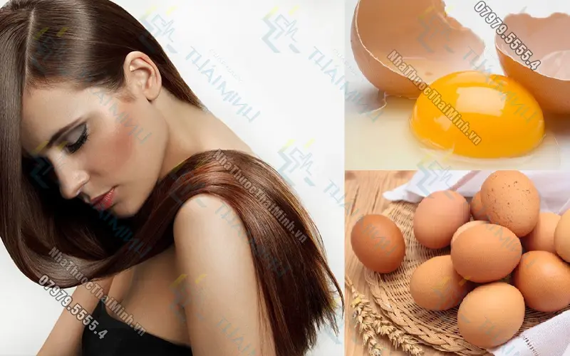 Hàm lượng protein trong một quả trứng gà là bao nhiêu? Lòng đỏ hay lòng trắng trứng tốt hơn?