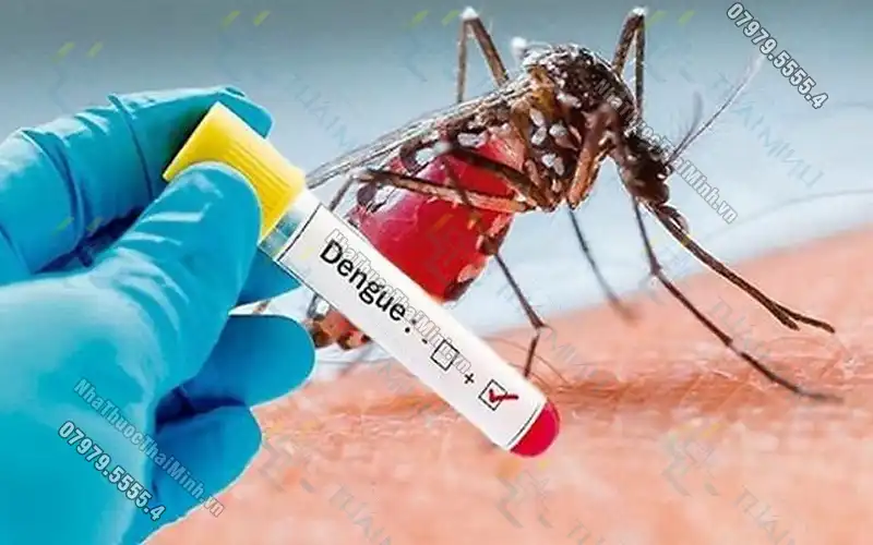 Sốt xuất huyết là gì? Cảnh giác với dịch bệnh sốt xuất huyết vào mùa nóng
