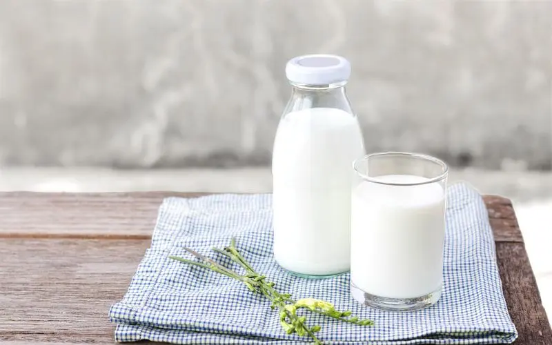 Uống sữa tươi không đường có tăng đường huyết ở người tiểu đường không?