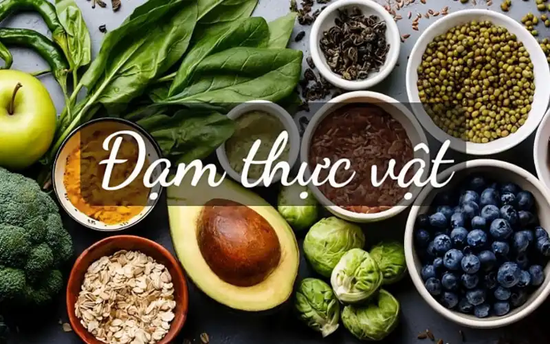 Danh sách các loại thực phẩm có chứa nhiều đạm thực vật