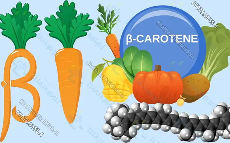 Carotenoid là gì? Một số lưu ý khi bổ sung carotenoid cho cơ thể