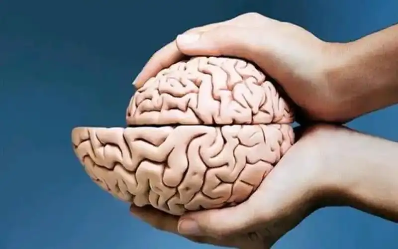 Teo não ở người già là gì? Biện pháp phòng ngừa teo não ở người già an toàn