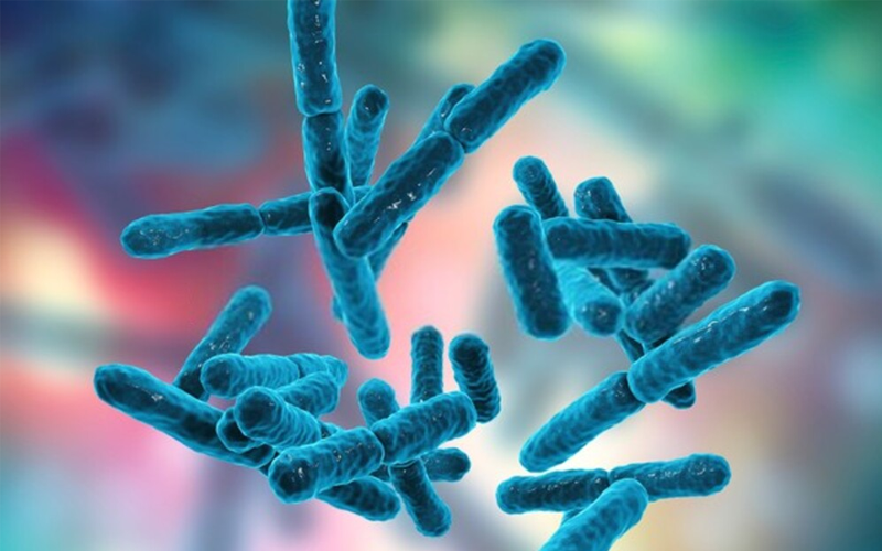 Vi khuẩn kỵ khí là gì? Những điều về vi khuẩn kỵ khí bạn không nên bỏ qua.